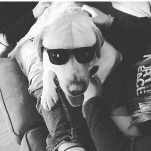 Meet your Posher, Johnny